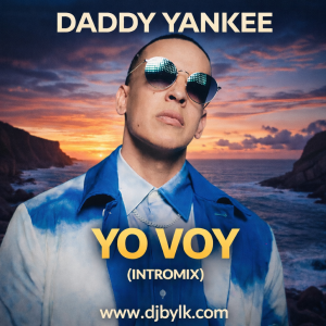 DADDY YANKEE - YO VOY (INTROMIX)