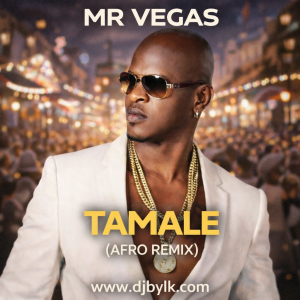 MR VEGAS - TAMALE (AFRO REMIX)