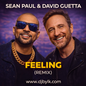 SEAN PAUL & DAVID GUETTA - FEELING (REMIX)