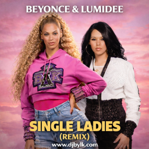 BEYONCE & LUMIDEE - SINGLE LADIES (REMIX)