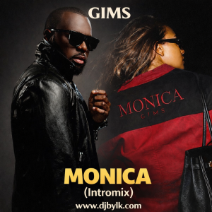 GIMS - MONICA (INTROMIX)