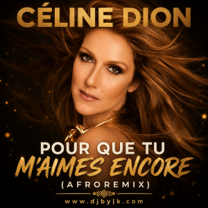 CELINE DION - POUR QUE TU M'AIMES ENCORE (AFRO REMIX)