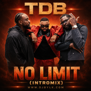 TDB - NO LIMIT (INTROMIX)