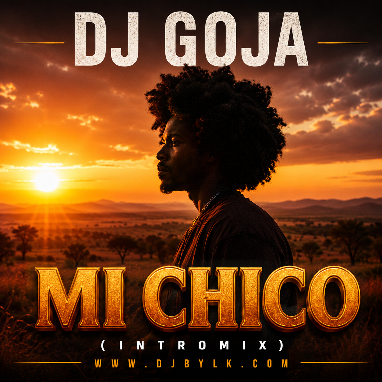 dj-goja-mi-chico-intromix