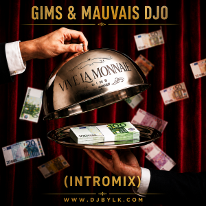 GIMS & MAUVAIS DJO  - VIVE LA MONNAIE (INTROMIX)