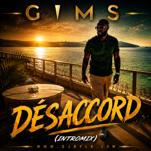 GIMS - DÉSACCORD (INTROMIX)