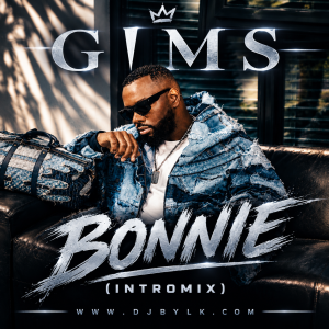 GIMS - BONNIE (INTROMIX)